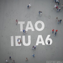 Tao ju a6